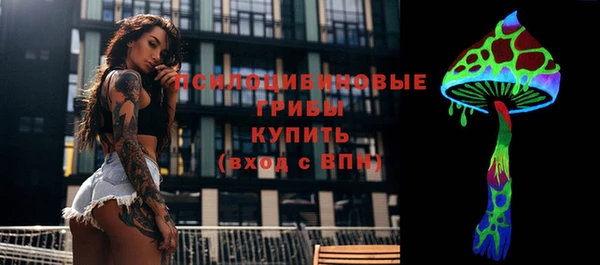 спиды Богородск