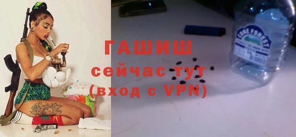 спиды Богородск