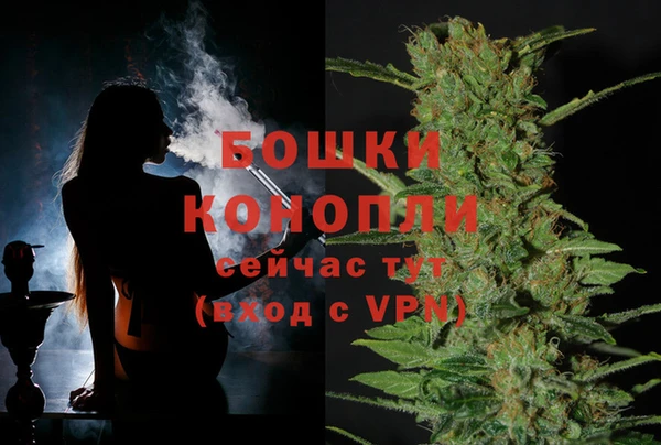 спиды Богородск