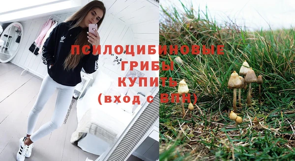 спиды Богородск