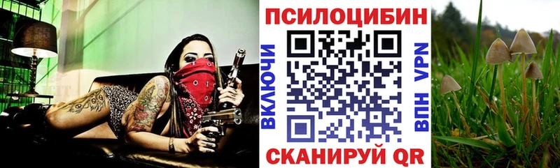 Псилоцибиновые грибы MAGIC MUSHROOMS Апшеронск